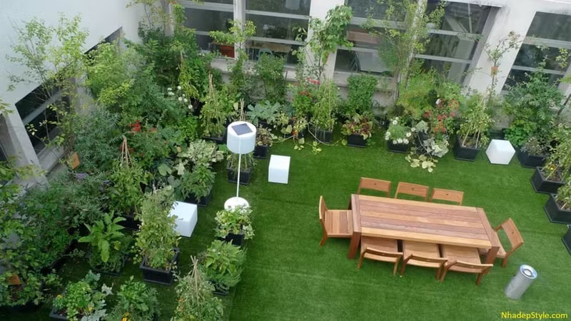 15 khu vườn sân thượng xanh mướt khiến ai ngắm cũng mê 