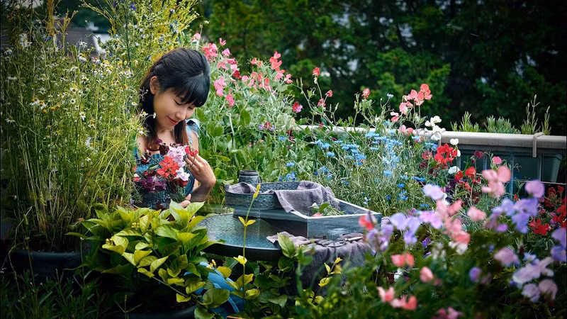 Những khu vườn đẹp như mơ trên ban công chỉ vài mét vuông 