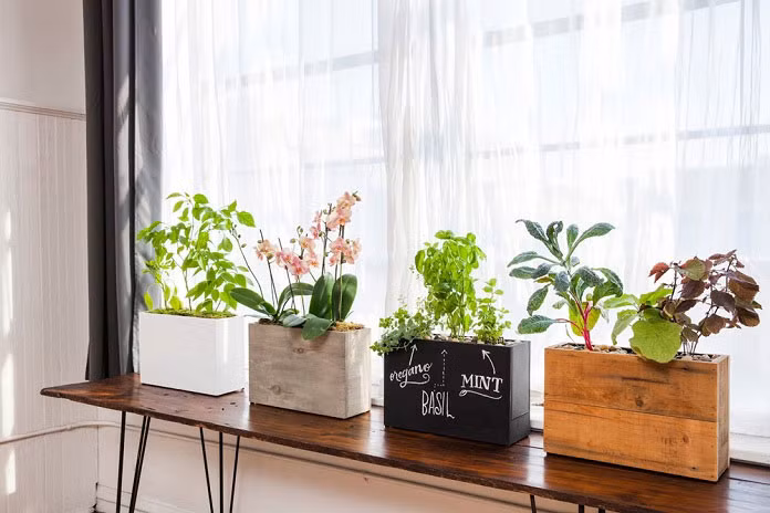 Cách trang trí cửa sổ thành góc thư giãn đẹp như thơ 