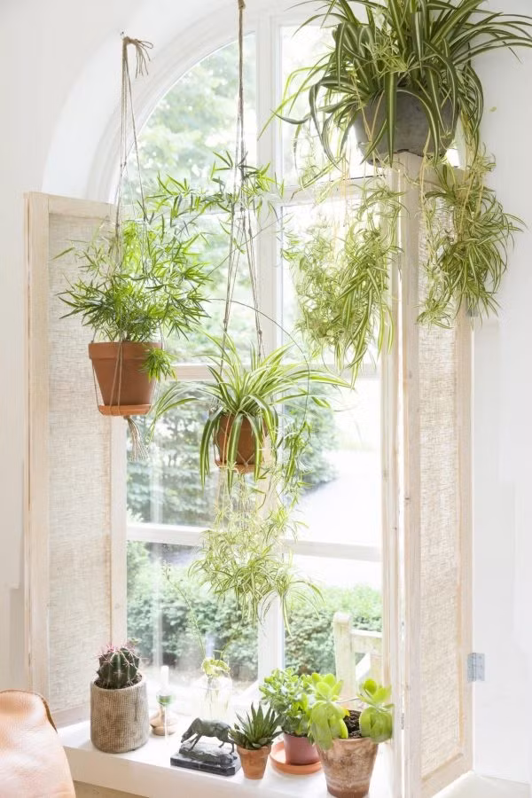 Cách trang trí cửa sổ thành góc thư giãn đẹp như thơ 