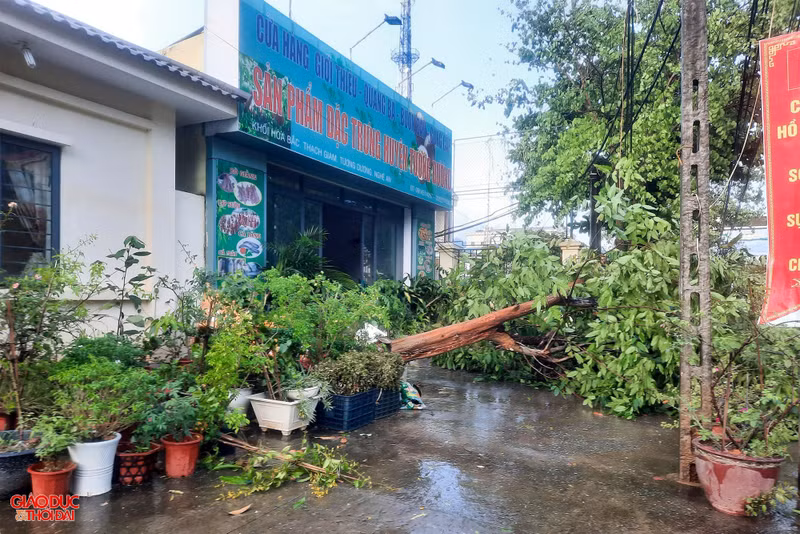 Theo người dân thị trấn Thạch Giám, trên địa bàn nhiều năm nay chưa xuất hiện đợt giông lốc nào mạnh như lần này. (Ảnh: Đình Tuân) Huyện miền núi ở Nghệ An ngổn ngang sau trận giông lốc lớn