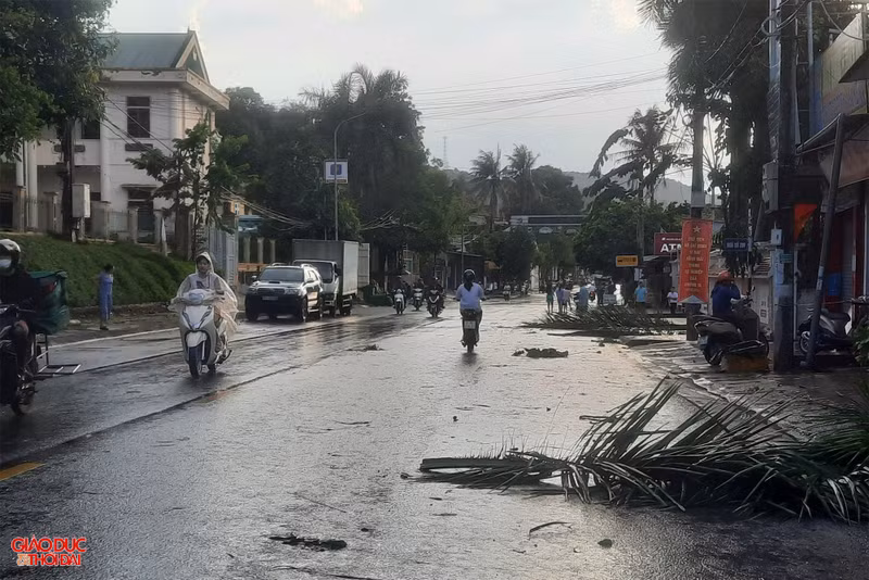 Quốc lộ 7 ngổn ngang cành cây gãy. (Ảnh: Đình Tuân) Huyện miền núi ở Nghệ An ngổn ngang sau trận giông lốc lớn