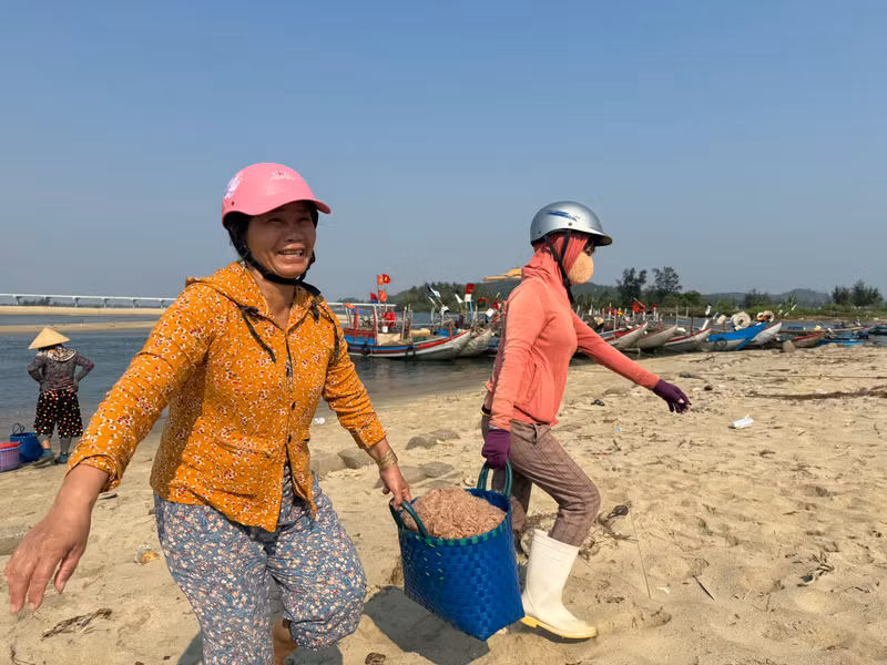 Ngư dân Quảng Ngãi thu tiền triệu mỗi ngày nhờ ruốc biển