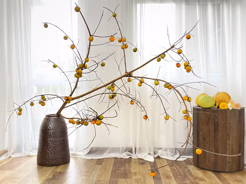 Các chị em Yêu bếp chia sẻ, để cắm được một bình hồng quả đẹp bạn cần phải lựa chọn 1 bình cao, miệng rộng và để ở khoảng không gian rộng một chút. Những cành hồng quả cắm bình đẹp mê mẩn, mang cả mùa Thu vào nhà