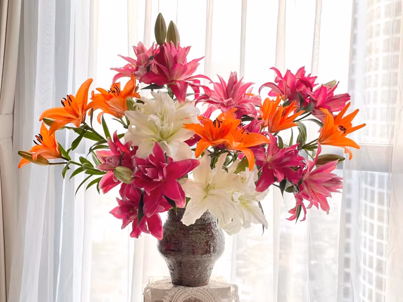 Gợi ý những mẫu hoa đẹp chúc mừng ngày 20/10 