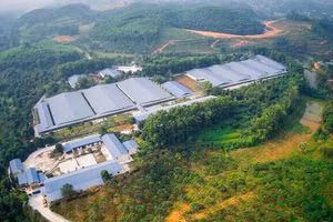 Trang trại chăn nuôi lợn của Công ty TNHH Hồng Dương.