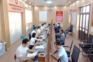 Ảnh minh họa. Nguồn: UBND xã Hải Lựu