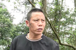 Tài xế Nguyễn Văn Tư bị khởi tố.