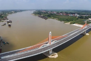 Ảnh minh họa.