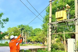 Ảnh minh họa.