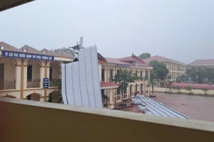 Ảnh minh họa