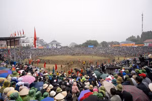 Cứ vào 16 - 17 tháng Giêng, người dân Hải Lựu lại tưng bừng tổ chức lễ hội chọi trâu.