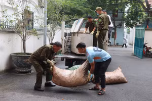 Lực lượng chức năng thu giữ số hàng hóa vi phạm. Ảnh: TG
