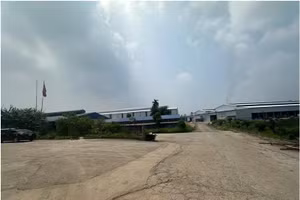 Hợp tác xã sản xuất giấy Phù Ninh bị xử phạt 320 triệu.