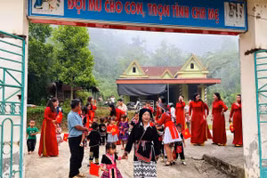 Nội dung xóa mù chữ chức năng cho giai đoạn 2026–2030 được đề xuất có nhiều thay đổi.