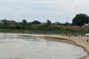 Bãi soi Tình Húc trên sông Lô tiếp giáp giữa phường Nông Tiến và Hưng Thành, TP Tuyên Quang đã trở thành bãi tắm tự phát của người dân.