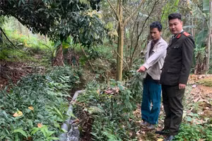 Công an kiểm tra khu vực ô nhiễm môi trường do nước thải từ cơ sở chăn nuôi lợn chảy ra. Ảnh: Công an xã Đoan Hùng