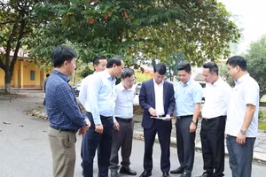 Phó Chủ tịch UBND tỉnh Phú Thọ Nguyễn Khắc Hiếu khảo sát khu vực khu B trụ sở các cơ quan huyện Bình Xuyên cũ.