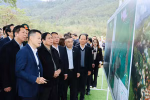 Thủ tướng Phạm Minh Chính kiểm tra khu vực phát triển dự án khu du lịch nghỉ dưỡng sinh thái Tam Đảo 2.