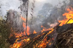 Địa hình phức tạp khiến việc dập lửa gặp nhiều khó khăn.