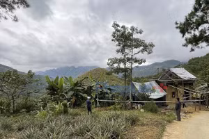 Khu vực phát hiện thi thể bà V.