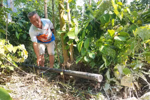 Đường ống nối từ xưởng sản xuất ra khu đất rừng phía sau.