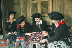 Phụ nữ Dao Tiền ở xóm Sưng, xã Cao Sơn (Phú Thọ) gìn giữ nghề dệt thổ cẩm truyền thống.