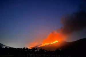 Diện tích rừng bị cháy khoảng 6ha thuộc xã Đạo Trù, huyện Tam Đảo.