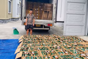 Hơn 5,3 tấn chân gà rút xương đông lạnh không rõ nguồn gốc bị thu giữ. Ảnh: Công an tỉnh Tuyên Quang