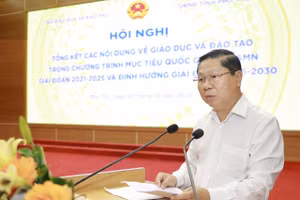 Thứ trưởng Bộ GD&ĐT Lê Tấn Dũng phát biểu tại hội nghị.