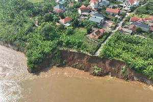 Vị trí sạt lở bờ, vở sông Thao tiếp tục lấn sâu vào phía khu dân cư.