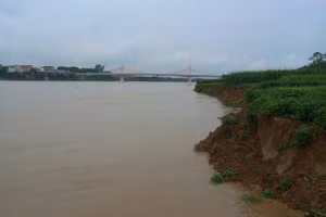 Bờ Sông Lô tại xã Đức Bác bị sạt lở nghiêm trọng.