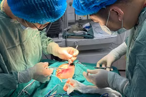 Bác sĩ tiến hành phẫu thuật cho bệnh nhi bị chó cắn. Ảnh: BVĐK tỉnh Tuyên Quang