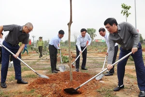 Đã có hơn 1.000 cây xanh các loại được tỉnh Phú Thọ trồng tại Tết trồng cây.