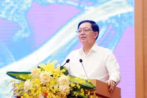 Phó Thủ tướng Chính phủ Hồ Quốc Dũng phát biểu tại hội nghị.