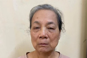 Bà Mai Thị Hạ bị khởi tố, bắt giam. Ảnh: Công an tỉnh Tuyên Quang
