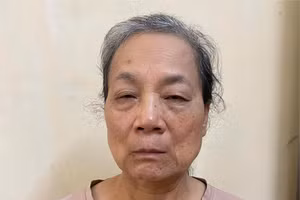 Bà Mai Thị Hạ bị khởi tố, bắt giam. Ảnh: Công an tỉnh Tuyên Quang