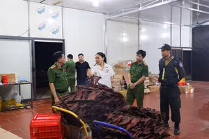 Công an tỉnh Phú Thọ phá đường dây “hô biến” thịt trâu đông lạnh Ấn Độ thành thịt trâu gác bếp vào tháng 8/2025.