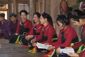 Người dân Cao Lan ở Tuyên Quang tổ chức các hoạt động để gìn giữ, phát huy văn hóa truyền thống.