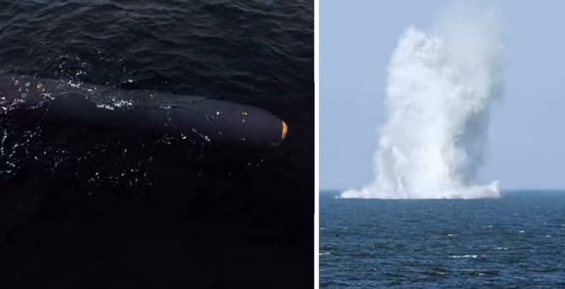 'Ngư lôi ngày tận thế' Haeil-1 của Triều Tiên có sức mạnh đáng sợ