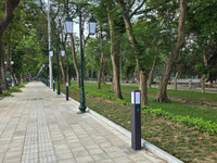 a7.jpg