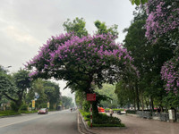 b8.jpg