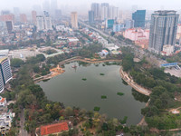 n1.jpg