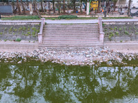 n2.jpg