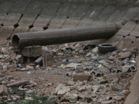 n5.jpg
