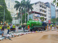 d7.jpg