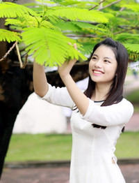 Nữ sinh Trường THPT Chuyên Hạ Long duyên dáng trong áo dài trắng tinh khôi ảnh 2