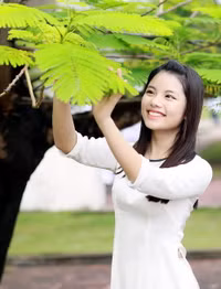 Nữ sinh Trường THPT Chuyên Hạ Long duyên dáng trong áo dài trắng tinh khôi ảnh 2