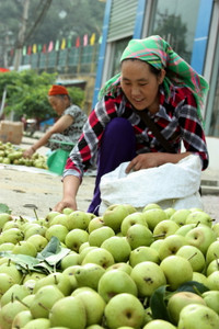 Ngày hè của trẻ em người Mông ảnh 13