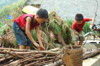 Ngày hè của trẻ em người Mông ảnh 5